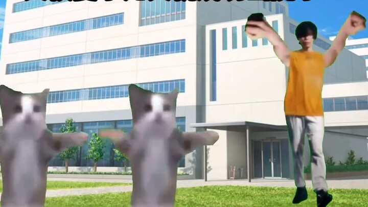 [Cat meme] The story of me fainting in the classroom and being sent to the hospital