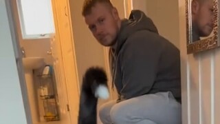 Milk cat who only plays with mommy 😂