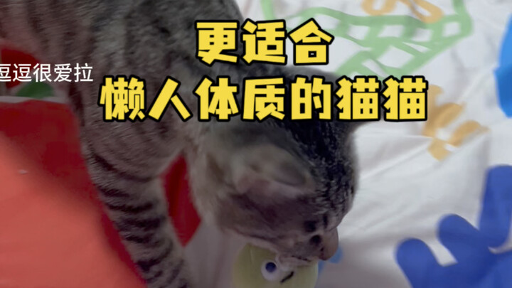 Pastikan untuk sering berbicara dengan kucing, semakin sering kamu bicara, pasti ada saatnya dia mau