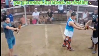 1st fight update ng solid buyer panalo #MWR Oslob Cockpit Arena