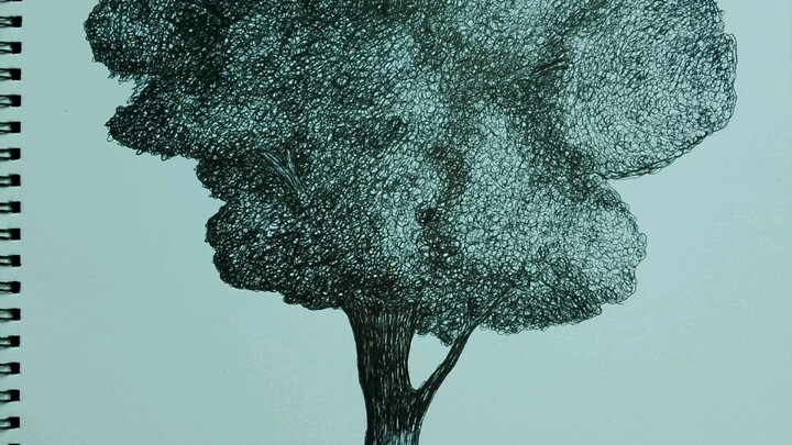 Drawing A Tree