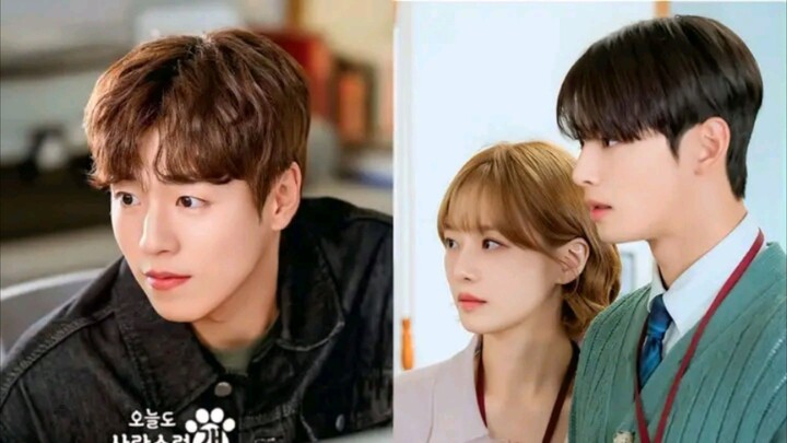 A Good Day To Be A Dog Korean Tagalog Dub Series 🇵🇭🇰🇷 Episode Finale