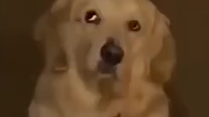 Is that all?