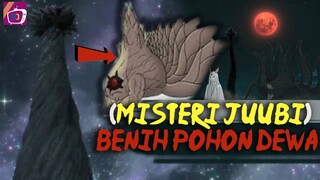 JUUBI ADALAH BENIH POHON CHAKRA! OTSUTSUKI YANG MENANAM POHON DEWA TAPI BUKAN KAGUYA ?