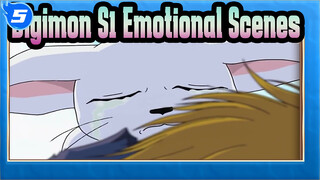 Emotional Scenes, Full Of Memories | Digimon S1_5