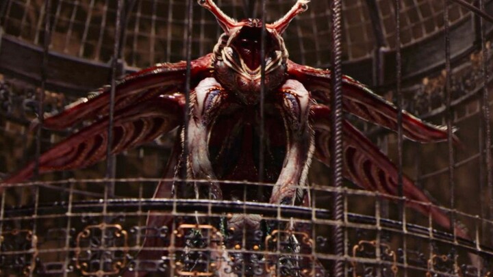 【Film kere】Di laut dalam ada makhluk gaib bernama putri duyung; siapa pun yang memakannya akan menda