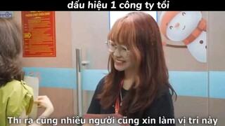 dấu hiệu 1 công ty tồi #haihuoc