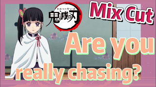 [Demon Slayer]  Mix Cut | Are you really chasing?