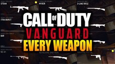 All Vanguard Weapons Origins, Real Names, Inspect Animations and MORE