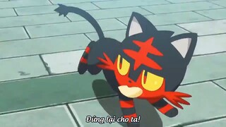 Pokemon Sun & Moon (Short Ep 7) - Nyabii trộm đồ ăn #pokemon