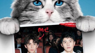 [Liu Haoran x Wu Lei] Legenda Kucing Setan