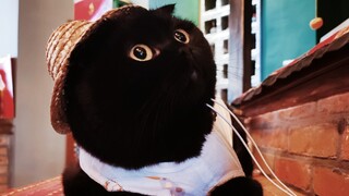 真心感恩大家对千岁岁的喜欢！