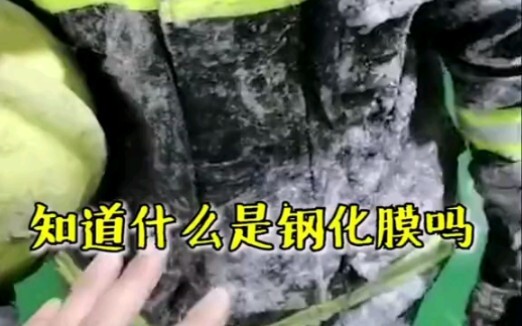 รู้ไหมว่าอะไรคือ "ฟิล์มนิรภัยแตก"? คือการคงท่าทางพร้อมสู้ตลอดเวลา…❤️