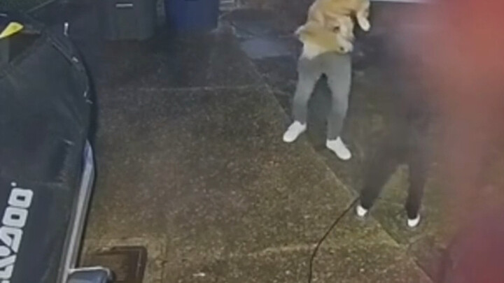 Caught the dog thief!!!