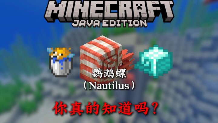 4 Minutes to Teach You Everything About MC Nautilus!!