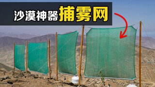What is a "fog trap"? Hanging on a mountaintop, it collects 200 liters of water a day. Do you know h