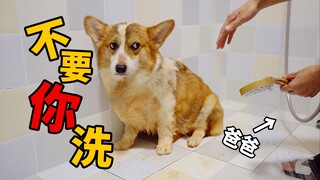 The corgi dug in the dirt and ended up covered in yellow mud—its owner’s first-ever dog wash turned 