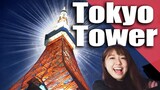 Gorgeous View Up Here!Tokyo Tower Night View Experience!