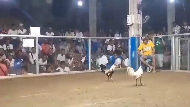 sweetGrey win ☺️