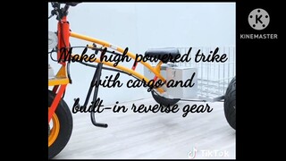 how to make high power trike with cargo and built-in reverse gear