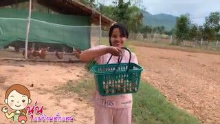 เก็บไข่ไก่ที่สวนพบพร นุ่นแม่บ้าน ตั๊กแตน ชลดา