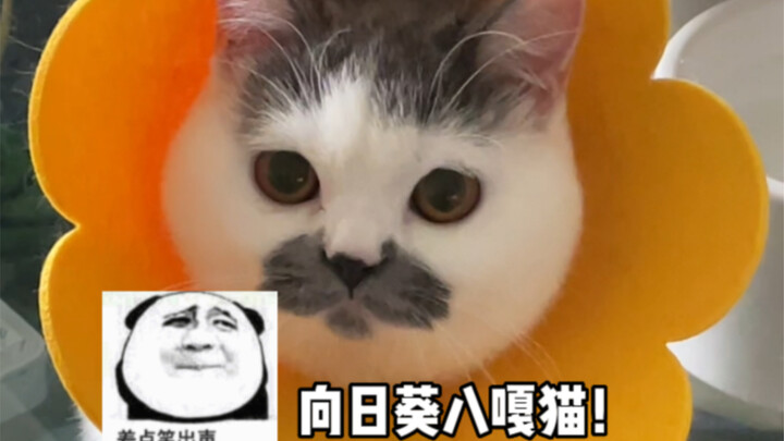 “การจำลองภาพลักษณ์ของพันเอกในภาพยนตร์และซีรีส์อย่างละเอียด”