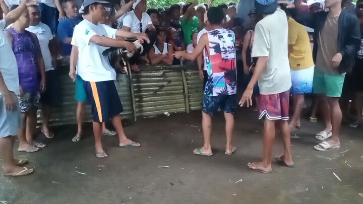 Rain or shine fight to win
