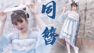 一只放假的玉兔~俏皮可爱要撒欢！❀同簪❀