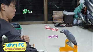 EP.263 พี่เฮงอารมณ์ไม่ดี ให้ร้องก็ไม่ยอมร้อง แล้วยังมาบอกว่า หนวกหู