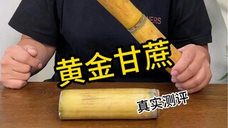 【Ulasan Lao Liu】Video terbaru segera hadir, datang dan lihatlah!
