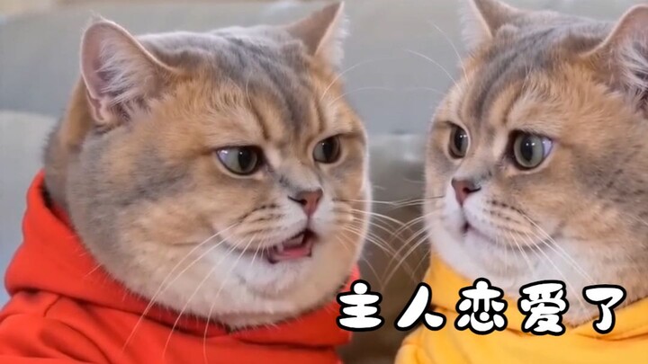 อ๊ะ ได้ยินมาว่าเจ้านายดูเหมือนจะมีความรักแล้ว!!!