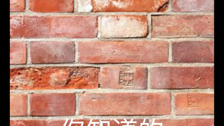 เรื่องราวของกำแพงกับม้า