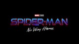 SPIDER-MAN- NO WAY HOME - Official Trailer (HD)