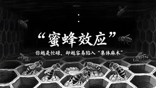 🐝心理学上有个词叫：蜜蜂效应｜你越是忙碌，却越容易陷入“集体麻木”