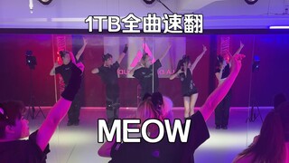 看五秒就让你留下的MEOW全曲1TB翻跳#dance #meovv #meow #1TBonetopbase