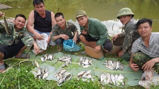 MÓN CÁ NỘM SỐNG CỦA AE NHỊP SỐNG • Thu Hoạch Cá Ao Chung