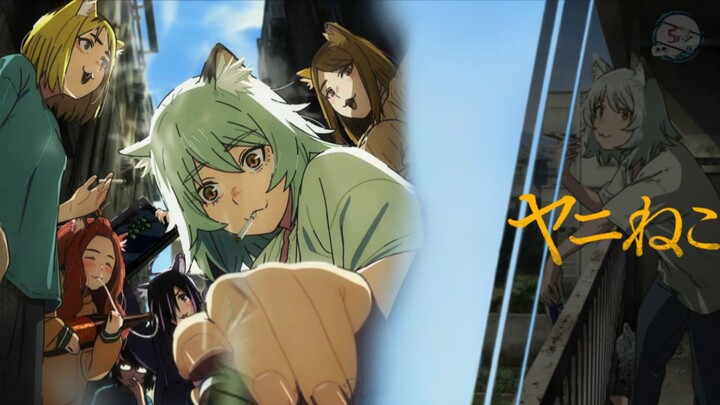 Yani Neko Episode 1 Subtitle Indonesia