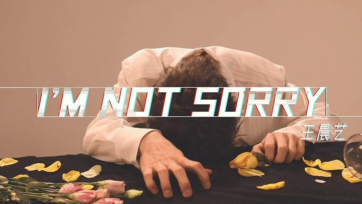 【王晨艺】I'm not sorry