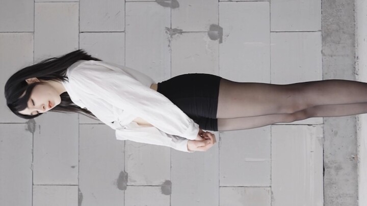 Chó Bichon nhỏ hơn 4k màn hình tràn viền chế độ tất đen Quốc khánh mọi người đều được nghỉ, còn tôi 