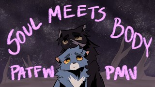 Soul Meets Body | PATFW pmv (art fight!)