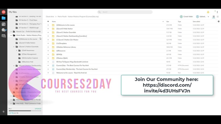 Marie Poulin - Notion Mastery Program Download
