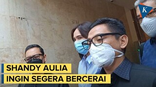 Tak Bakal Hadir di Persidangan, Shandy Aulia Ingin Segera Bercerai dengan David Herbowo
