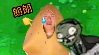 《 坚  果  墙  的  痛 》