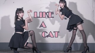 【卧蚕】AOA猫步轻俏❤高跟性感小野猫爬天台～like a cat❤ 可爱在性感面前真的不值一提吗