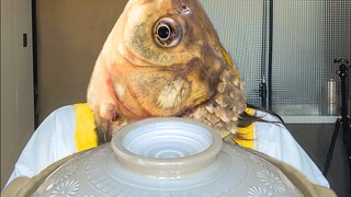 Mari kita makan semangkuk sup ikan di rumah saat hari hujan