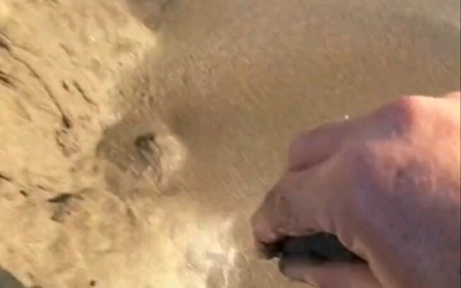 Eksperimen menarik, video pelepas stres, tunggu kelanjutannya