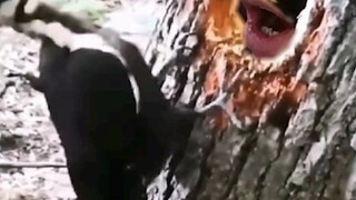 Apakah kau kesini untuk menyembuhkan penyakitku atau untuk membunuhku?