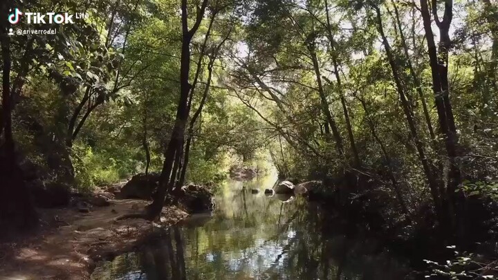 at 11 o'clock in the morning   the Beautiful create of mother earth 🌎