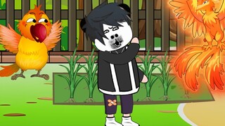 I inherited a zoo at the beginning, and the parrot evolved into a divine phoenix bloodline to help m