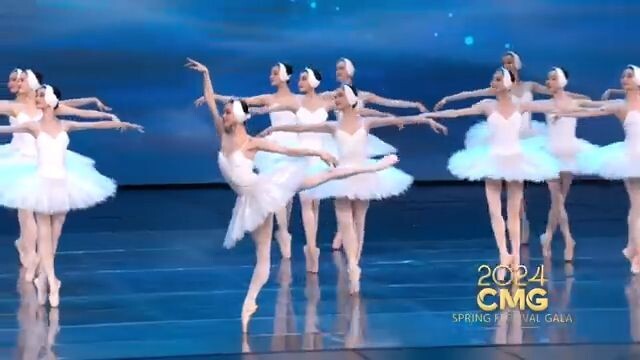 Baby Swans _ 2024 CMG Spring Festival Gala